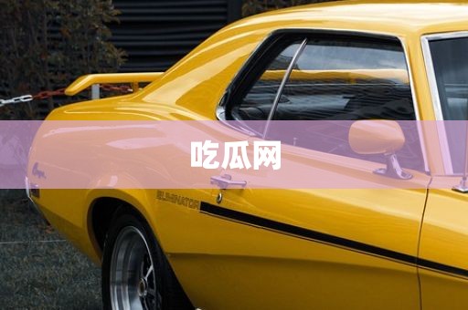 吃瓜网