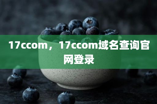 17ccom，17ccom域名查询官网登录