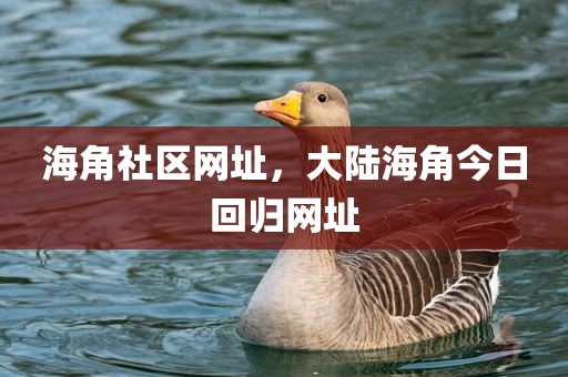 海角社区网址，大陆海角今日回归网址