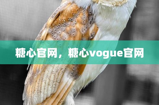 糖心官网，糖心vogue官网