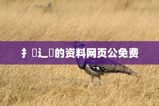 扌喿辶畐的资料网页公免费
