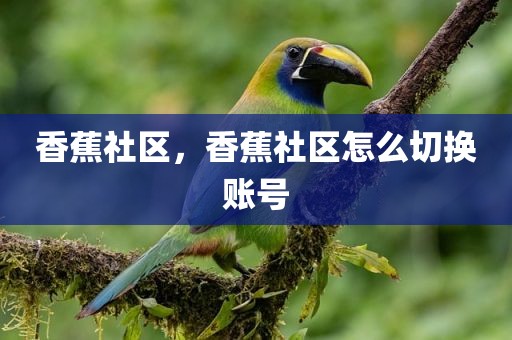香蕉社区，香蕉社区怎么切换账号