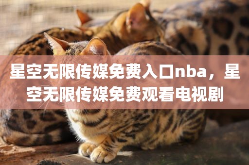 星空无限传媒免费入口nba，星空无限传媒免费观看电视剧