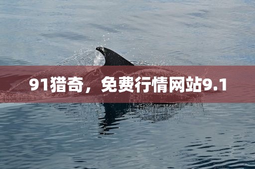 91猎奇，免费行情网站9.1