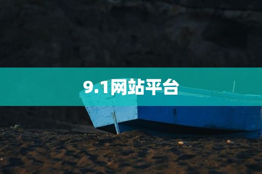 9.1网站平台