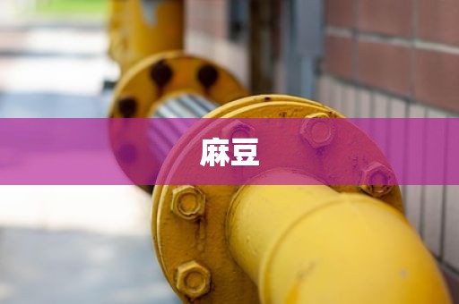 麻豆