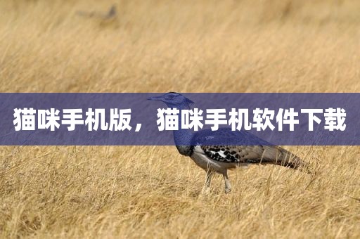 猫咪手机版，猫咪手机软件下载