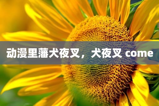 动漫里藩犬夜叉，犬夜叉 come