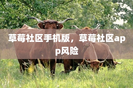 草莓社区手机版，草莓社区app风险