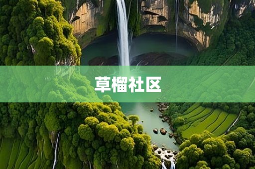 草榴社区