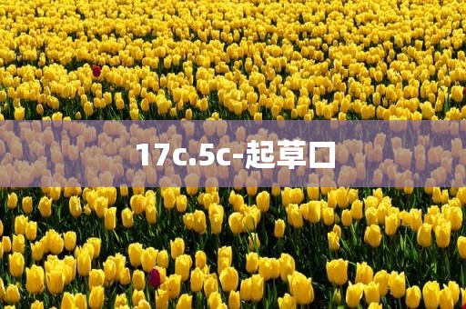 17c.5c-起草口