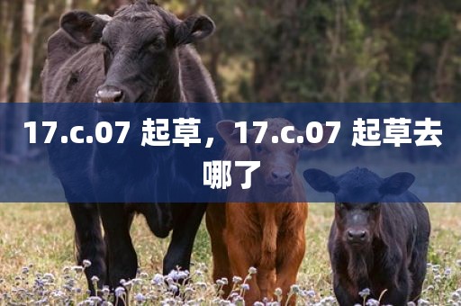 17.c.07 起草，17.c.07 起草去哪了