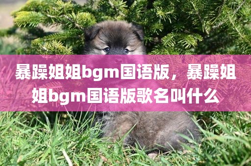 暴躁姐姐bgm国语版，暴躁姐姐bgm国语版歌名叫什么