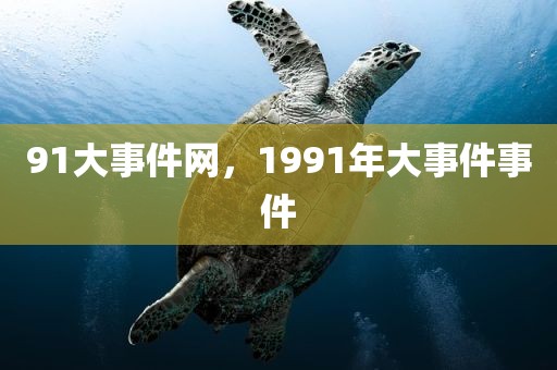 91大事件网，1991年大事件事件
