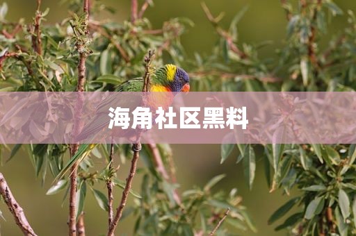 海角社区黑料