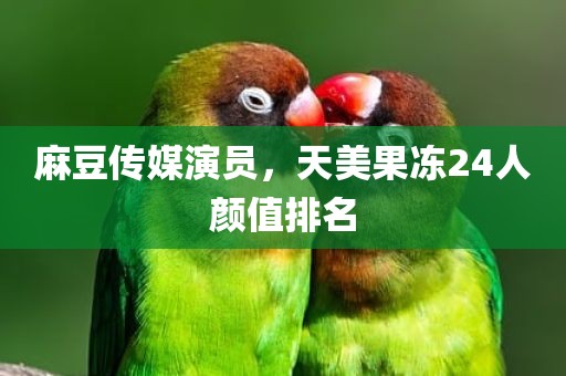 麻豆传媒演员，天美果冻24人颜值排名