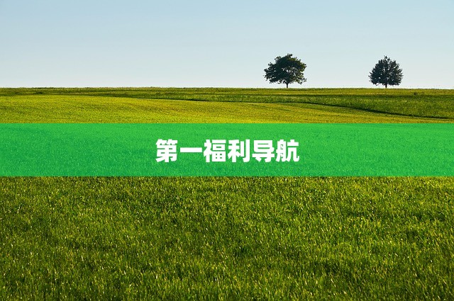 第一福利导航