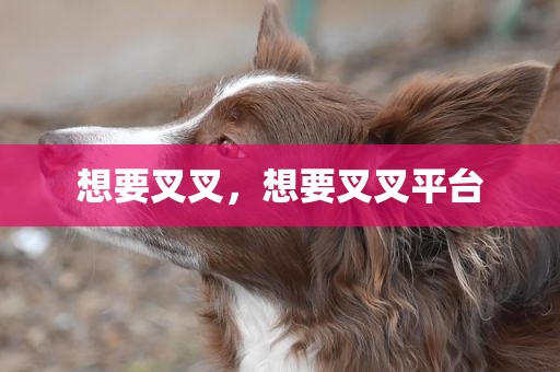 想要叉叉，想要叉叉平台