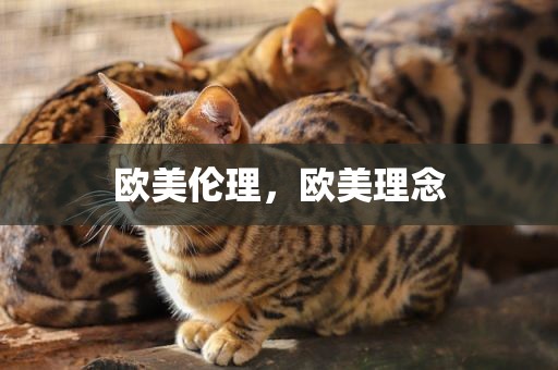 欧美伦理，欧美理念