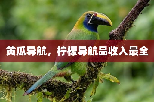 黄瓜导航，柠檬导航品收入最全