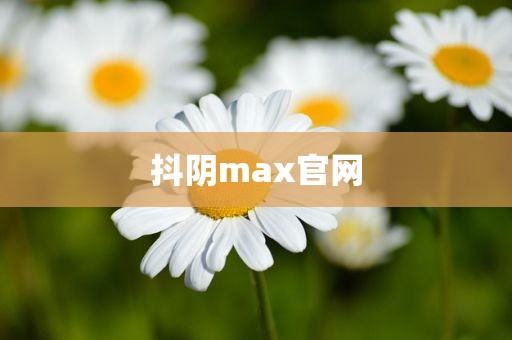 抖阴max官网
