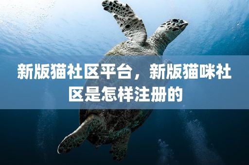 新版猫社区平台，新版猫咪社区是怎样注册的