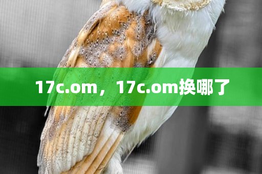 17c.om，17c.om换哪了