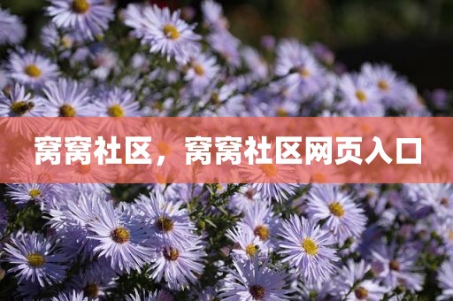 窝窝社区，窝窝社区网页入口
