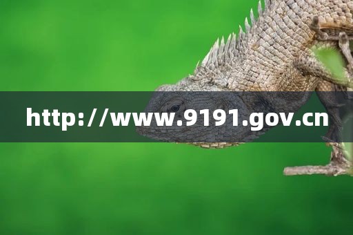 http://www.9191.gov.cn