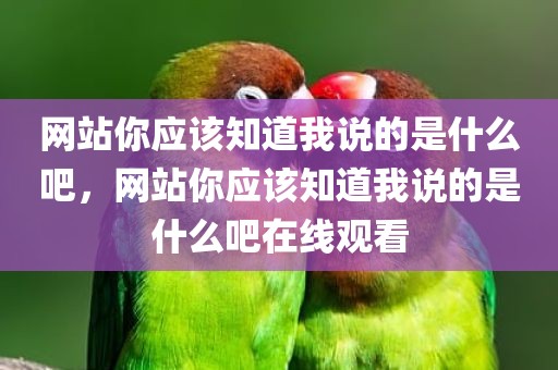 网站你应该知道我说的是什么吧，网站你应该知道我说的是什么吧在线观看