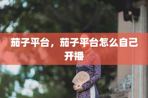 茄子平台，茄子平台怎么自己开播
