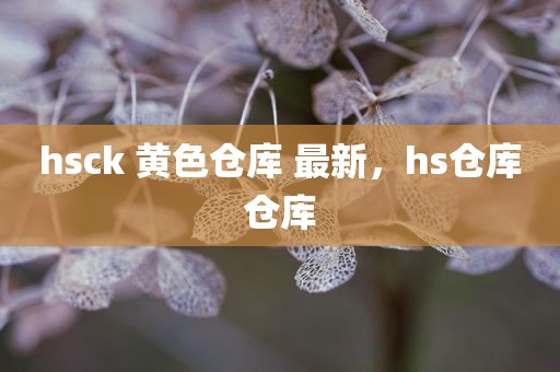 hsck 黄色仓库 最新，hs仓库仓库