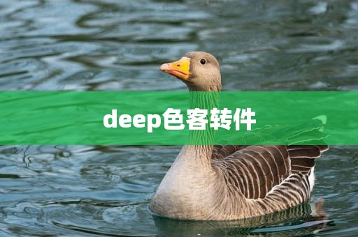 deep色客转件