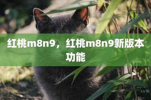 红桃m8n9，红桃m8n9新版本功能