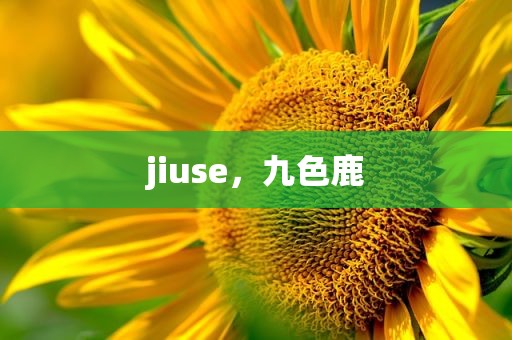 jiuse，九色鹿