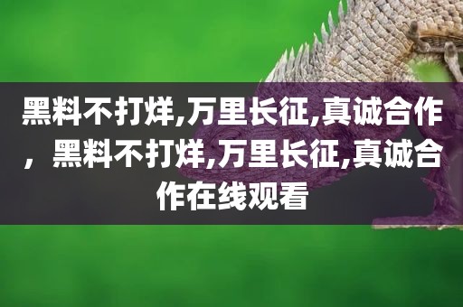 黑料不打烊,万里长征,真诚合作，黑料不打烊,万里长征,真诚合作在线观看