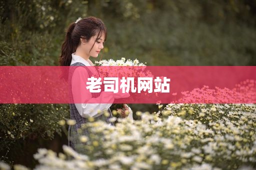 老司机网站