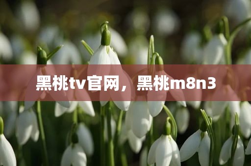 黑桃tv官网，黑桃m8n3