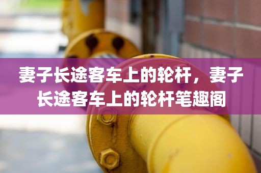 妻子长途客车上的轮杆，妻子长途客车上的轮杆笔趣阁