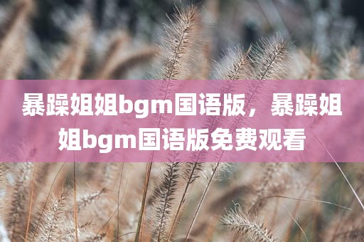 暴躁姐姐bgm国语版，暴躁姐姐bgm国语版免费观看