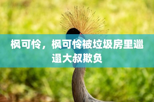枫可怜，枫可怜被垃圾房里邋遢大叔欺负