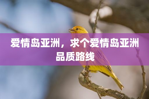 爱情岛亚洲，求个爱情岛亚洲品质路线