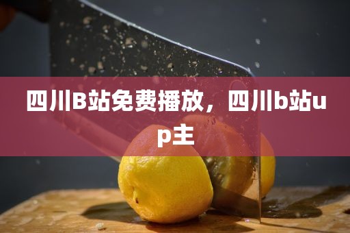 四川B站免费播放，四川b站up主