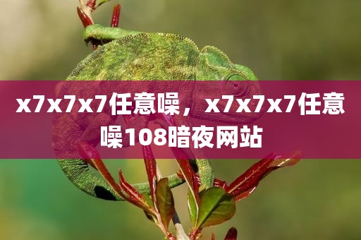 x7x7x7任意噪，x7x7x7任意噪108暗夜网站