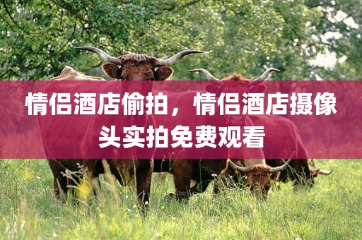 情侣酒店偷拍，情侣酒店摄像头实拍免费观看