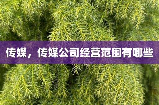 传媒，传媒公司经营范围有哪些