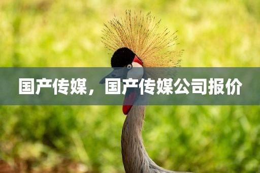 国产传媒，国产传媒公司报价