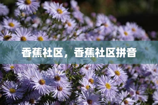 香蕉社区，香蕉社区拼音