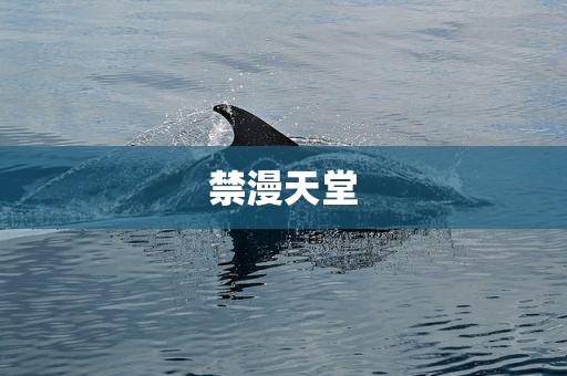 禁漫天堂
