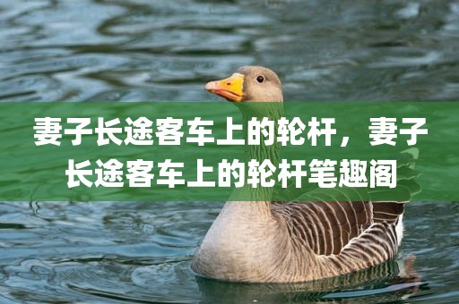 妻子长途客车上的轮杆，妻子长途客车上的轮杆笔趣阁